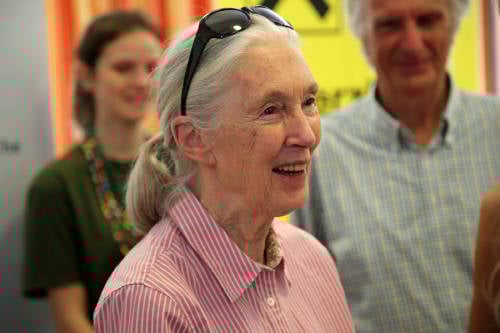Jane Goodall: "Estamos olvidando que somos parte del mundo natural"