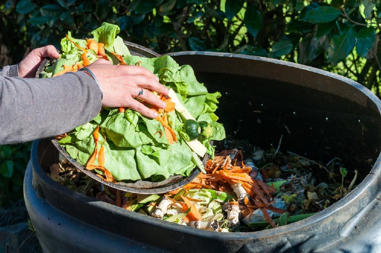 compost organicos compost organicos