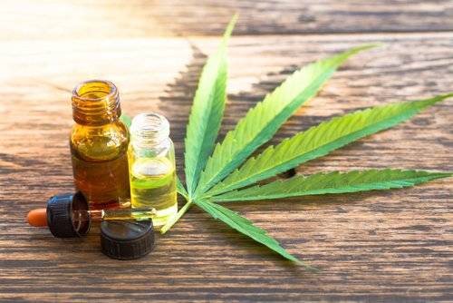 cannabis shutterstock 641825092 cannabis shutterstock 641825092