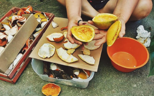 cáscaras frutas y verduras3 cáscaras frutas y verduras3