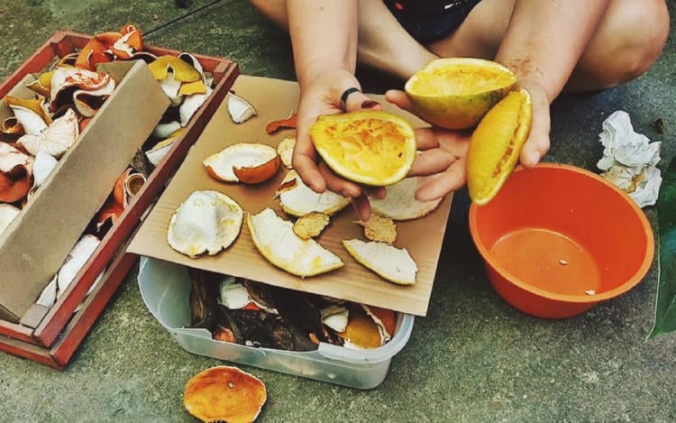 cáscaras frutas y verduras3 cáscaras frutas y verduras3