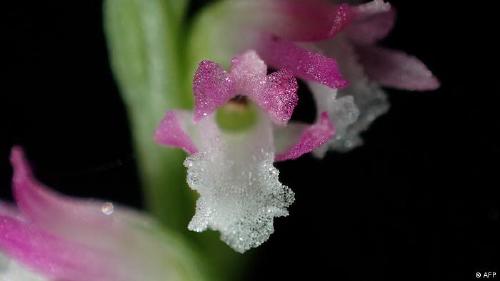 65157351_303 (1) 65157351_303 (1)