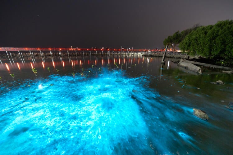 shutterstock_1284848737 shutterstock_1284848737