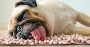 mantenerte accion mantenerte accion