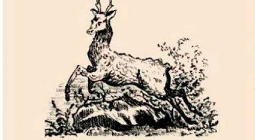 Reto visual Reto visual