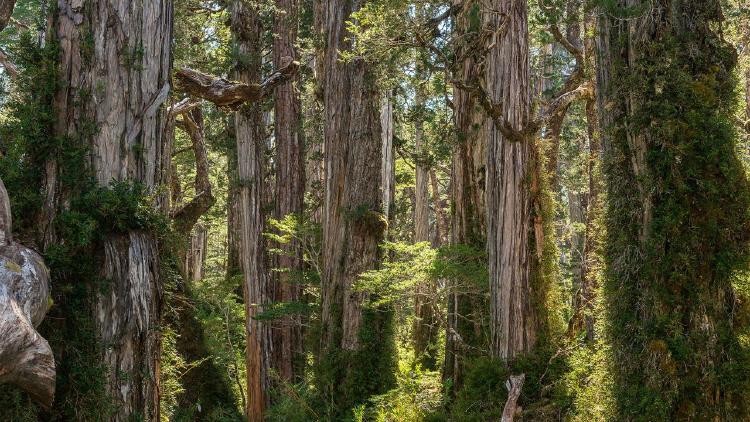 Parque Nacional Parque Nacional