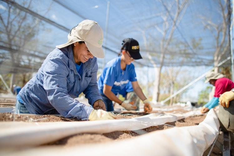 Westin Reserva Conchal W Costa Rica. Westin Reserva Conchal W Costa Rica.