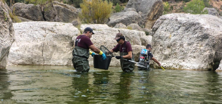 pesca electrica3 pesca electrica3