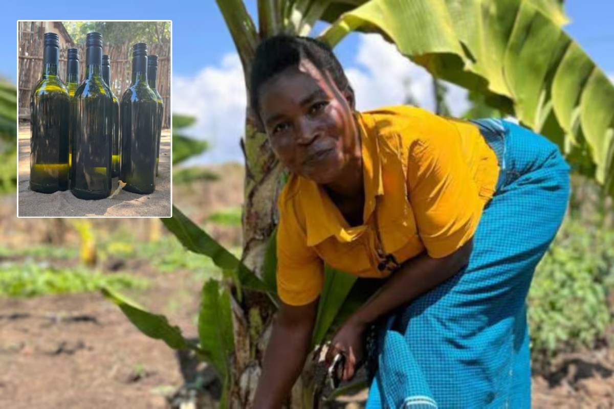 Vino de banana Malawi Vino de banana Malawi