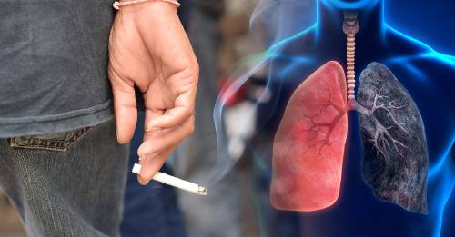 el secreto de los cigarros para ser aun mas adictivos el secreto de los cigarros para ser aun mas adictivos