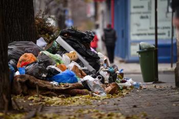 acumulación de residuos en base de un árbol en ciudad de Chile