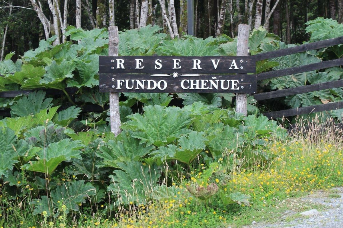 Reserva Fundo Chenue