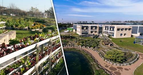 Paseo Ambiental del Sur: ¿Qué se puede encontrar en este nuevo espacio?