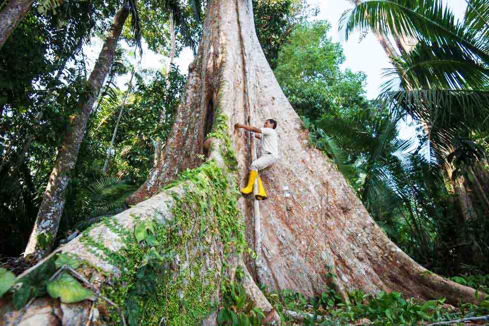 shihuahuaco shihuahuaco
