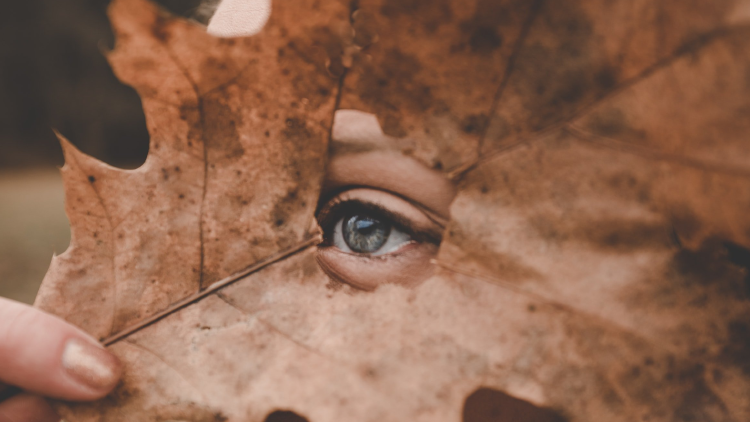 me tiembla el ojo derecho que significa me tiembla el ojo derecho que significa