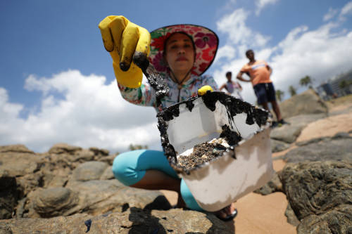 Brasil: 720 playas y cientos de animales han sido afectados por la marea negra