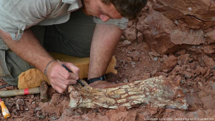 Un paleontólogo trabaja en la excavación de huesos y fósiles pertenecientes a una especie de pterosaurio recién descubierta.