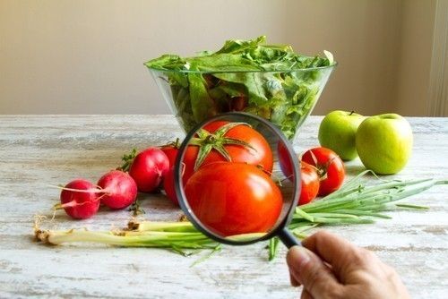 Lo importante es mantener una alimentación balanceada Lo importante es mantener una alimentación balanceada