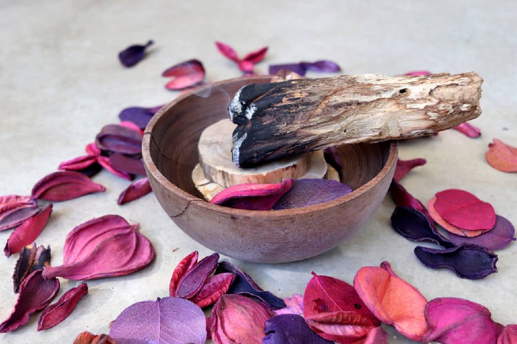 palo santo significado palo santo significado