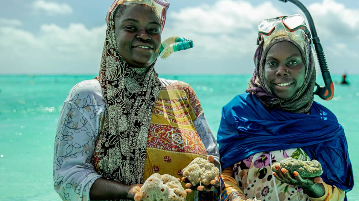 mujeres esponjas zanzibar mujeres esponjas zanzibar