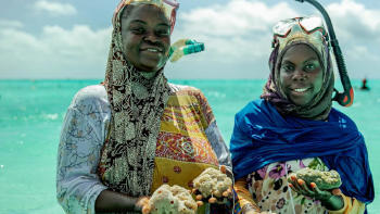 mujeres esponjas zanzibar