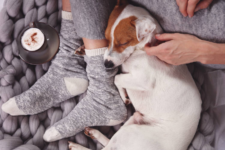 Una persona recostada con su perro y una taza de café