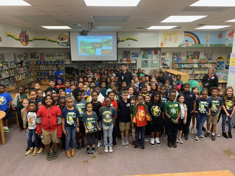 mariposas-naturalez mariposas-naturalez