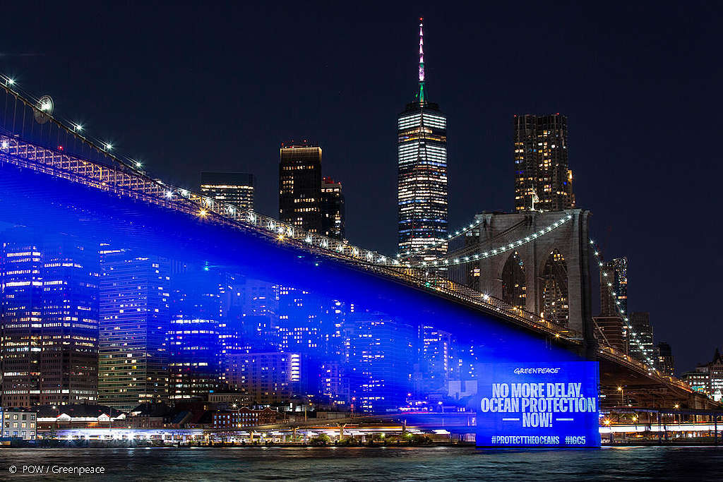 Greenpeace Greenpeace