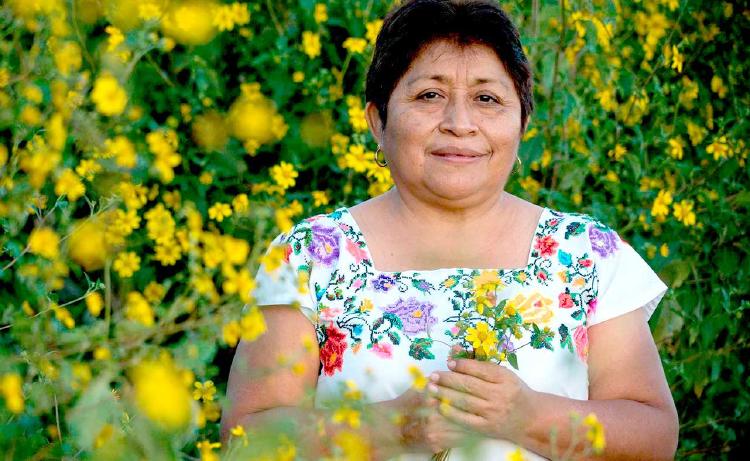 Leydy Pech, apicultora y activista de origen maya