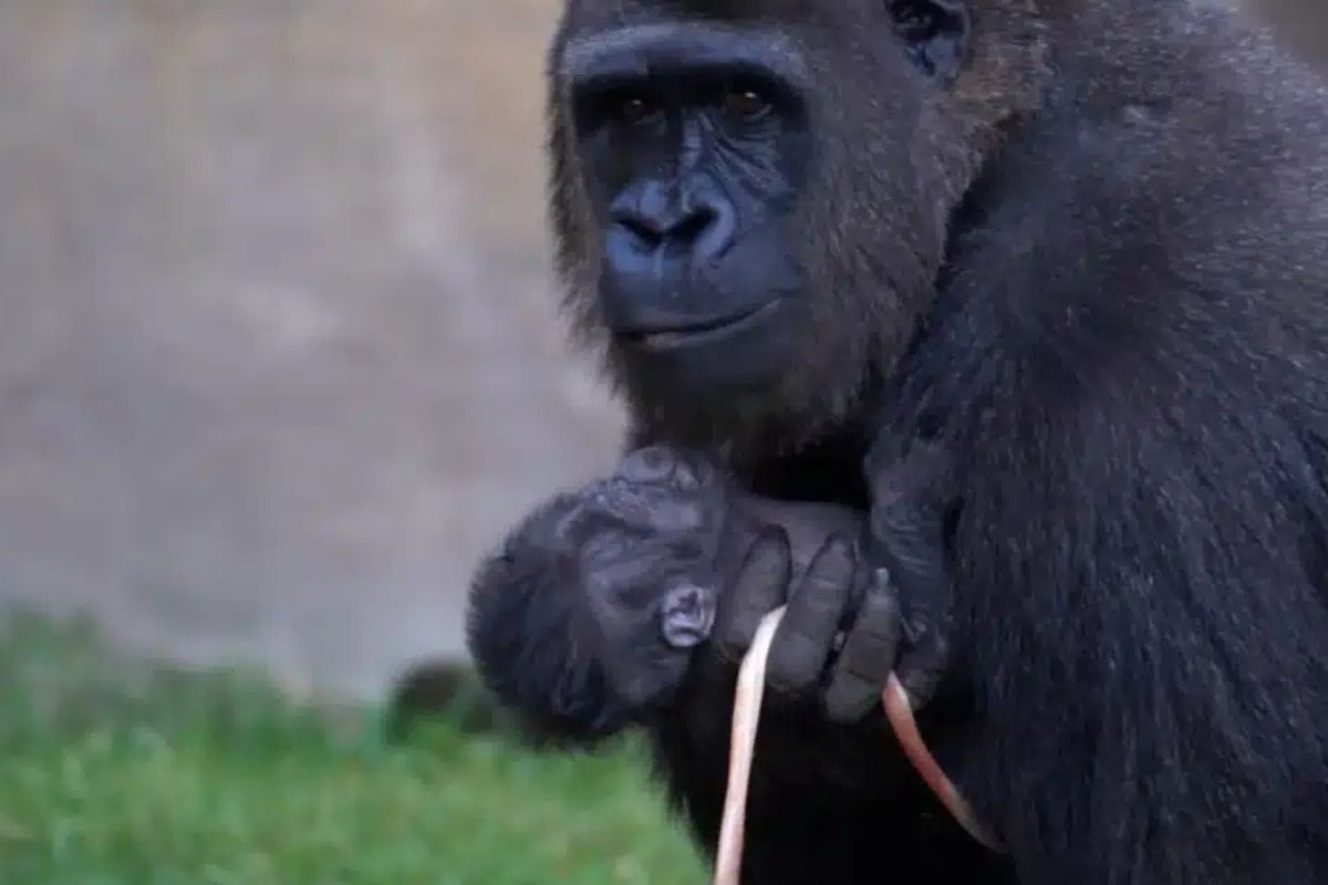 Imagen: econoticias.com