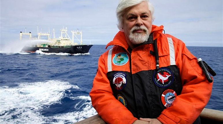 paulwatson seashepherd