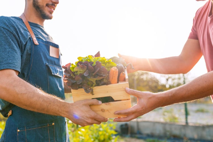 verduras agroecológicas