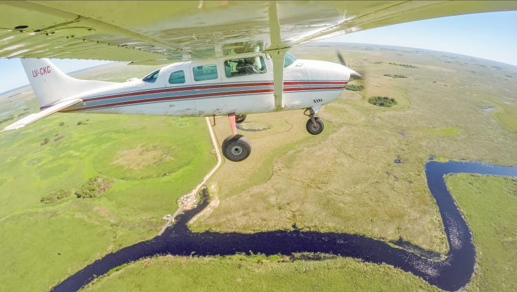 Rewilding-MatiasRebak Rewilding-MatiasRebak