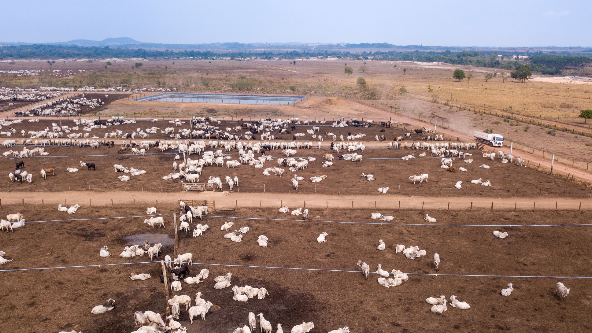 AdobeStock_385374796(1) AdobeStock_385374796(1)