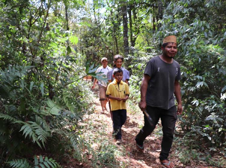 Territorio indígena de la comunidad Mbya Guaraní de donde extraen plantas medicinales. Afirman que los animales silvestres para el consumo disminuyeron.