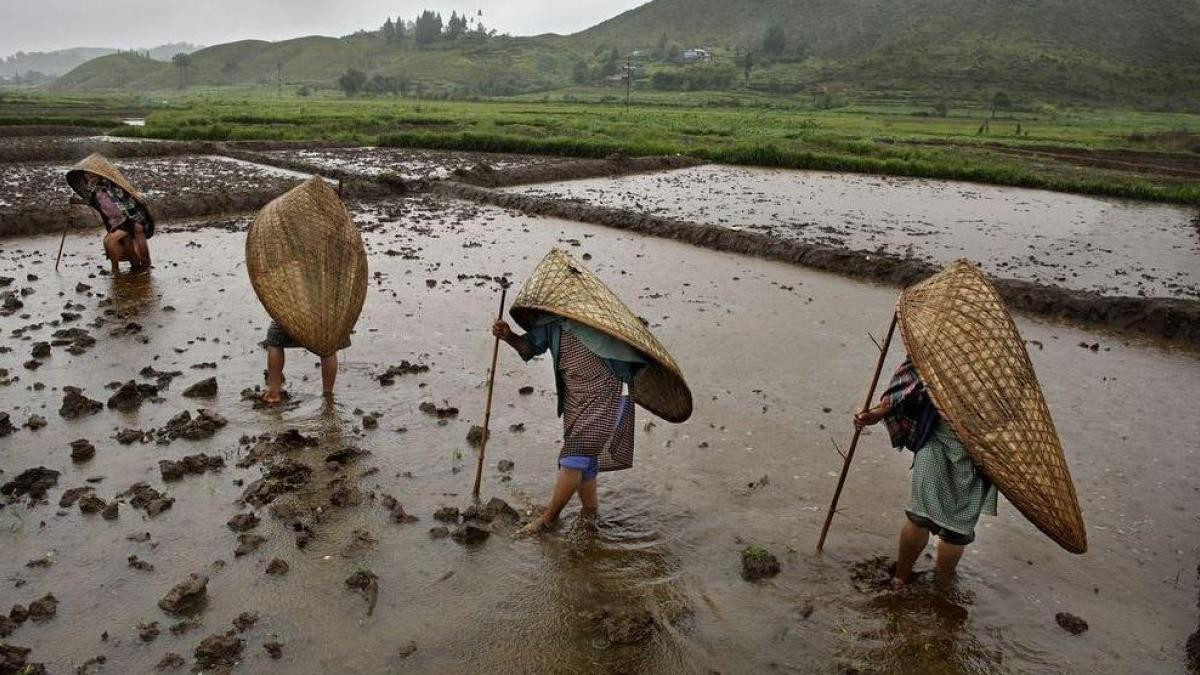 Mawsynram2 Mawsynram2