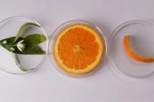 fibra de naranja Imagen: textilevaluechain.in