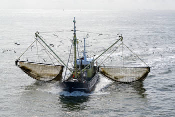pesca arrastre pesca arrastre