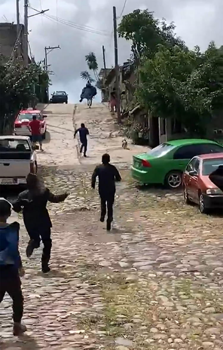 caballo 15 años2 caballo 15 años2