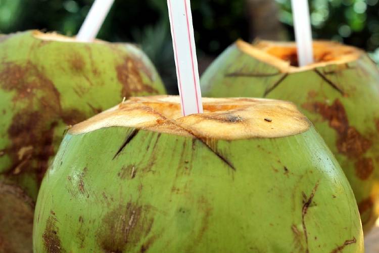 Agua de coco para la gastritis