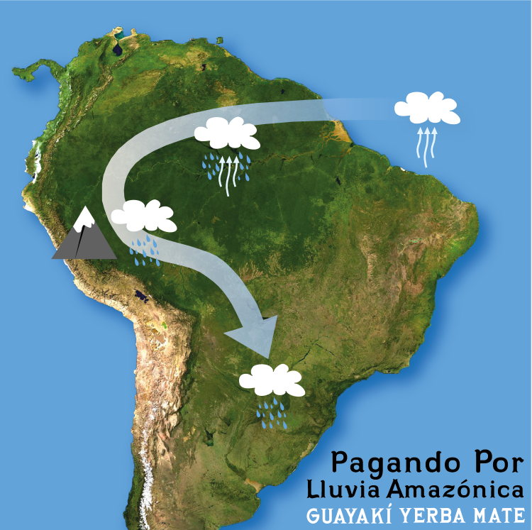 LLUVIA AMAZONIA LLUVIA AMAZONIA