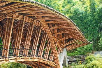puente bambu