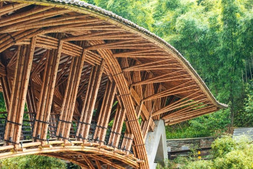 puente bambu