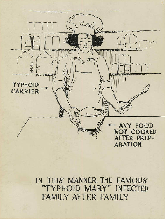 1024px-Typhoid_carrier_polluting_food_-_a_poster