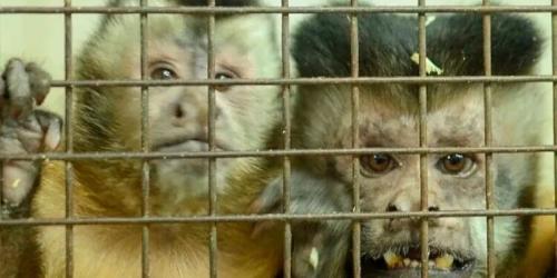 Portada 4 750x375 Portada 4 750x375