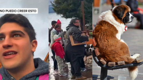 _portada bioguia (36) _portada bioguia (36)