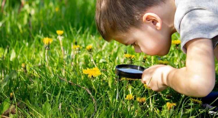 niños plantas escuela AdobeStock_605132350