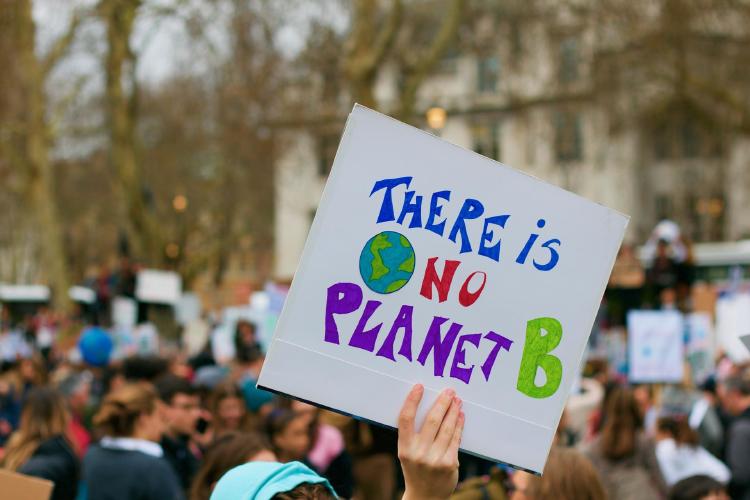 medioambiente-activismo cuidado-del-medioambiente-activismo