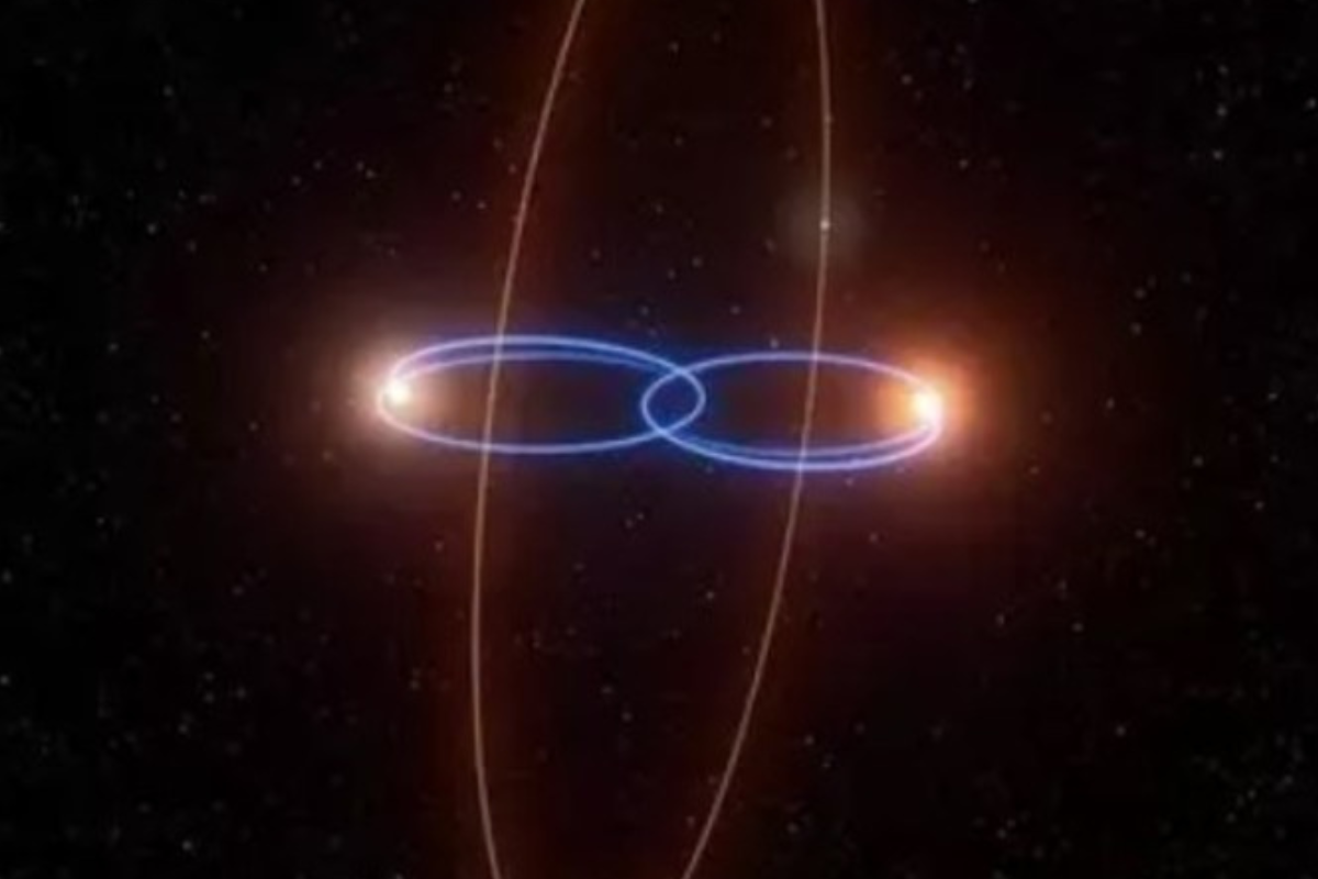 orbita El primer planeta en órbita perpendicular alrededor de un par de estrellas (Captura de video).