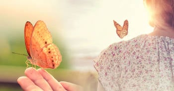 significado de las mariposas
